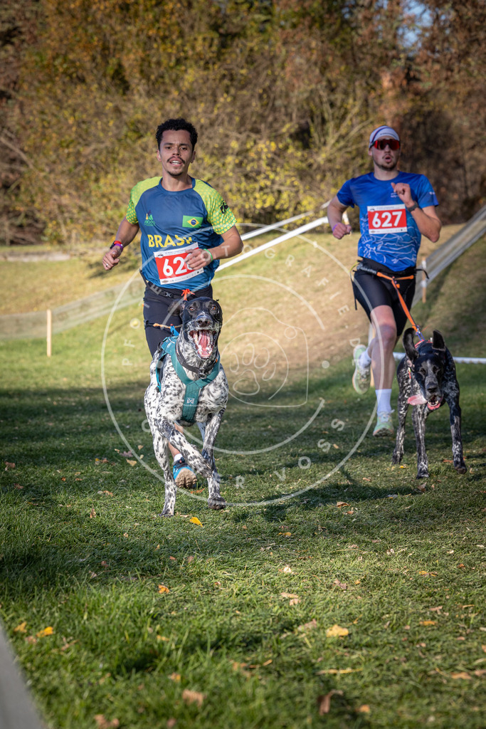 CaniXpix_0L8A8847 | Hundefotografie, Tierfotograf, Pfotenfotografie, Fotoshooting Hund, Hunde Portrait, Hundesport, Hundeportraits, Heideshooting, Hunde, Sportfotograf, Hundefotograf, Turnierhundsport, THS,  - Realisiert mit Pictrs.com