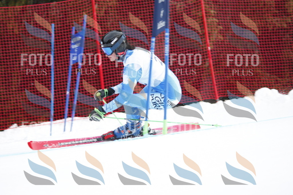 D4880 | holidayphoto