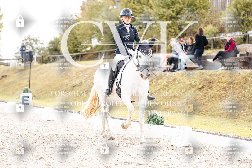 CK901559 | Turnierfotografie Pferdefotografie Trier Rheinland-Pfalz Pferdesport Reitsport Tierfotografie Sportfotografie Pferdevideo Pferdevideografie Equestrianvideography equestrianphotography  - Realisiert mit Pictrs.com