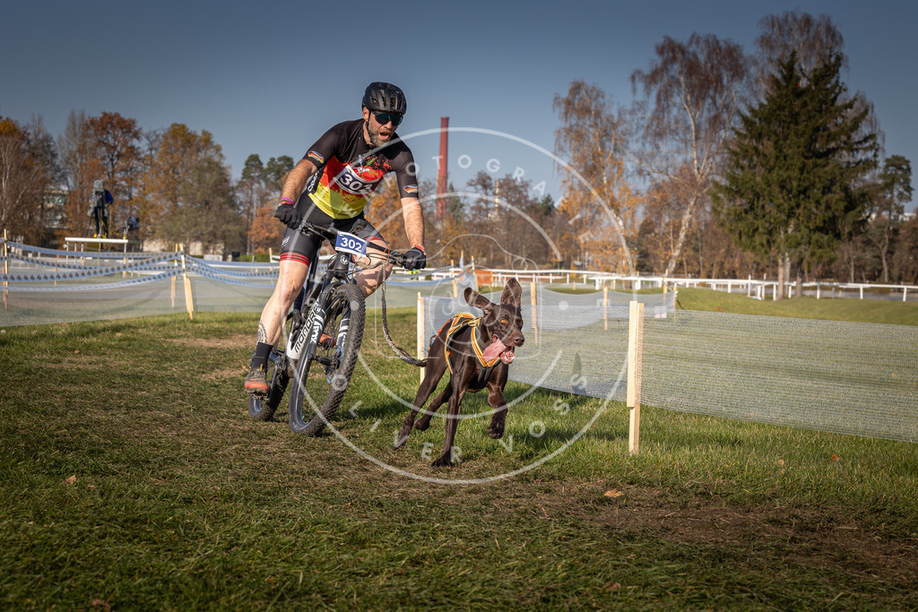 CaniXpix_0L8A7694 | Hundefotografie, Tierfotograf, Pfotenfotografie, Fotoshooting Hund, Hunde Portrait, Hundesport, Hundeportraits, Heideshooting, Hunde, Sportfotograf, Hundefotograf, Turnierhundsport, THS,  - Realisiert mit Pictrs.com
