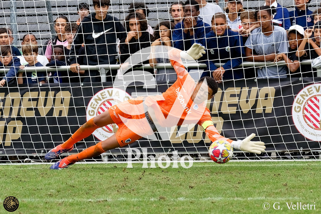 DZ8_1280 | Velletri Photo