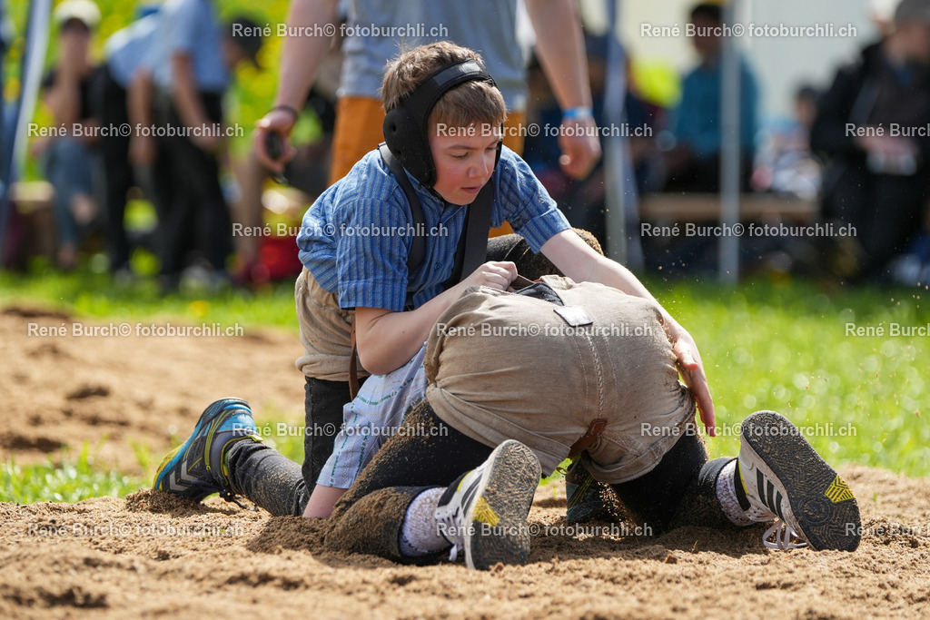 RB_04477 | René Burch leidenschaftlicher Fotograf aus Kerns in Obwalden.  Hier finden sie Sport, Landschaft und Natur Fotografie.
 - Realisiert mit Pictrs.com