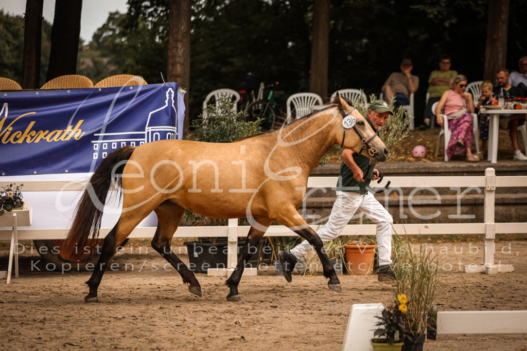 04.So00092 | Leoni Ertmer Photography - Realisiert mit Pictrs.com