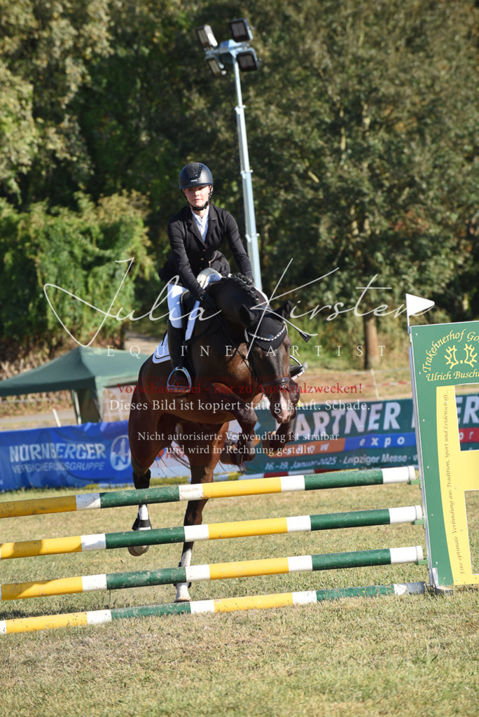 DSC_5138 | Pferde- und Turnierfotografie in Westsachsen. Pferdeportraits, Auftragszeichnungen und intuitive Kunst.