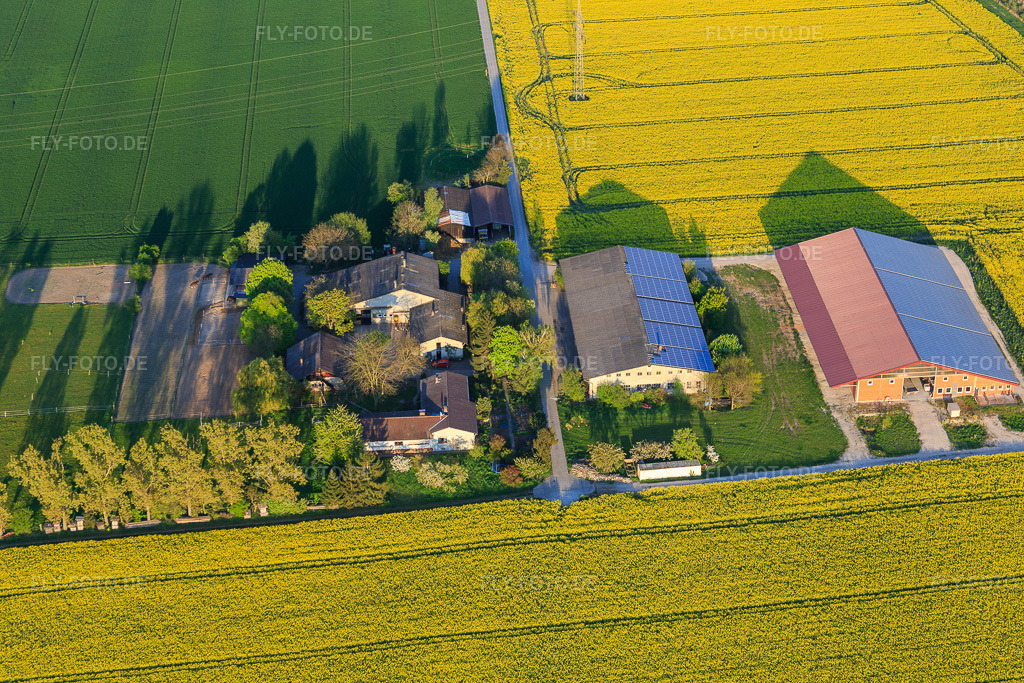 Luftbild: Ulmenhof in Stockstadt am Rhein im Bundesland Hessen in Deutschland. Foto: IMG_077712.jpg vom 23.04.2015 durch Werner Riehm/FLY-FOTO.de
