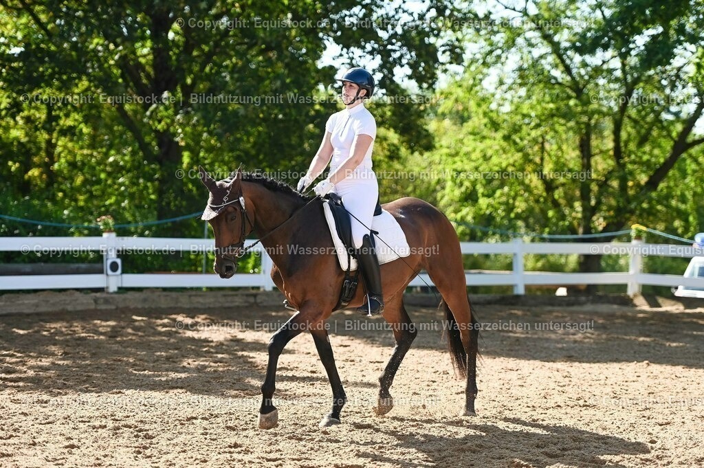 20230715_06_Dressurpferdeprfg. Kl.A_0292 | equistock