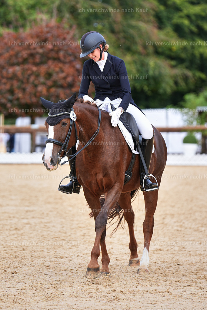 6-163-AMATUER-DRESSUR S_  -Marixx-3708 | working equitationturnier fotograf videograf stoibphotography marixx film working equitation deutschland reitsport turnierfotografie eventfotografie equestrian events