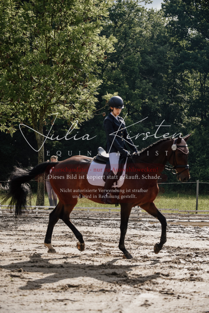 DSC_8595 | Pferde- und Turnierfotografie in Westsachsen. Pferdeportraits, Auftragszeichnungen und intuitive Kunst.