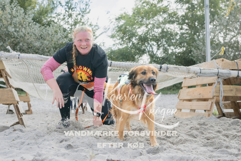 1338_ZZ98146 | kk-dogfotos