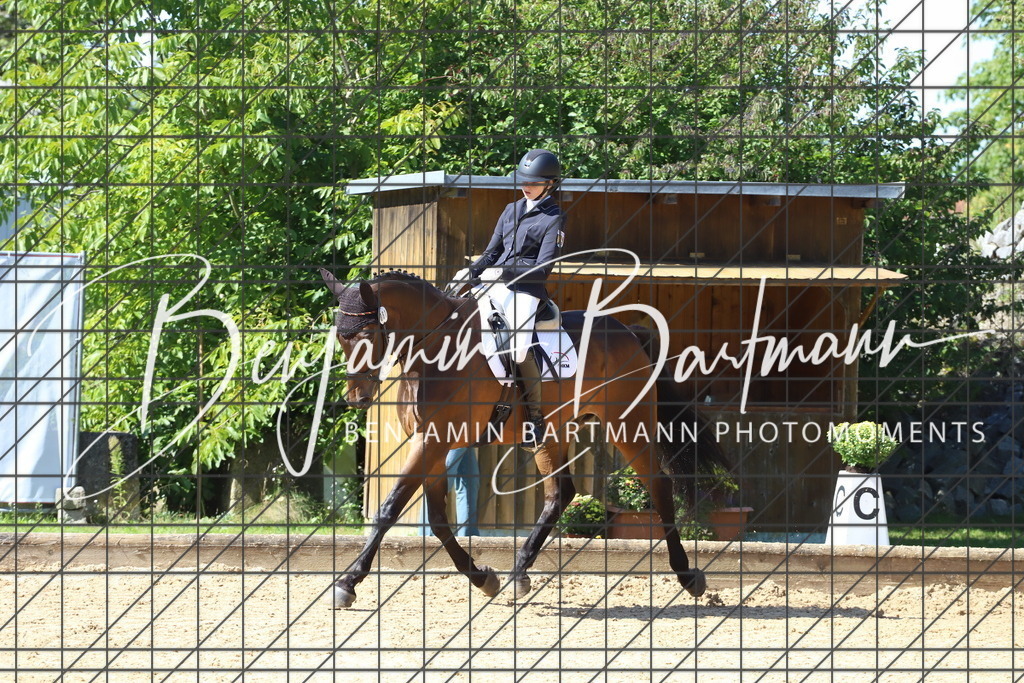 IMG_6041 | Benjamin Bartmann Photomoments