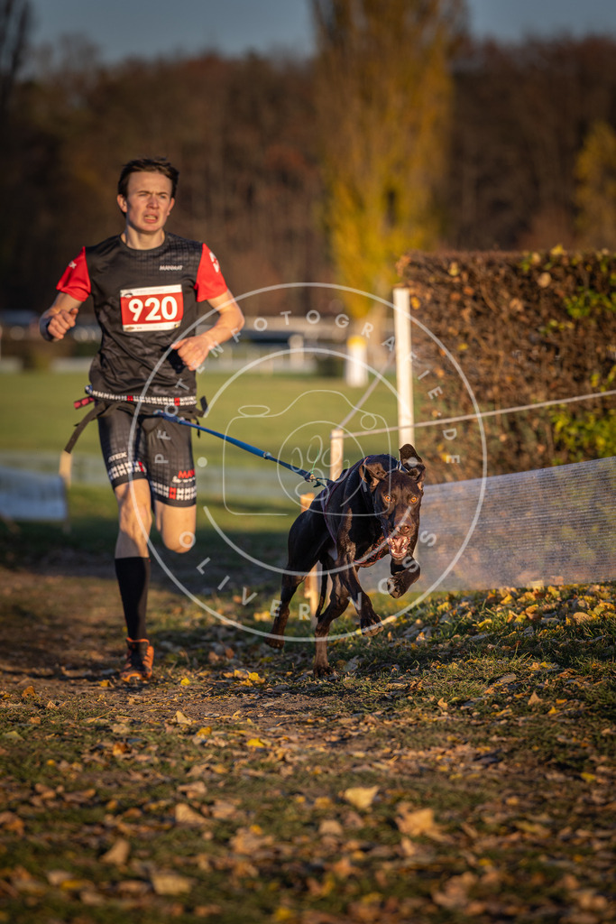 CaniXpix_DV3A4920 | Hundefotografie, Tierfotograf, Pfotenfotografie, Fotoshooting Hund, Hunde Portrait, Hundesport, Hundeportraits, Heideshooting, Hunde, Sportfotograf, Hundefotograf, Turnierhundsport, THS,  - Realisiert mit Pictrs.com