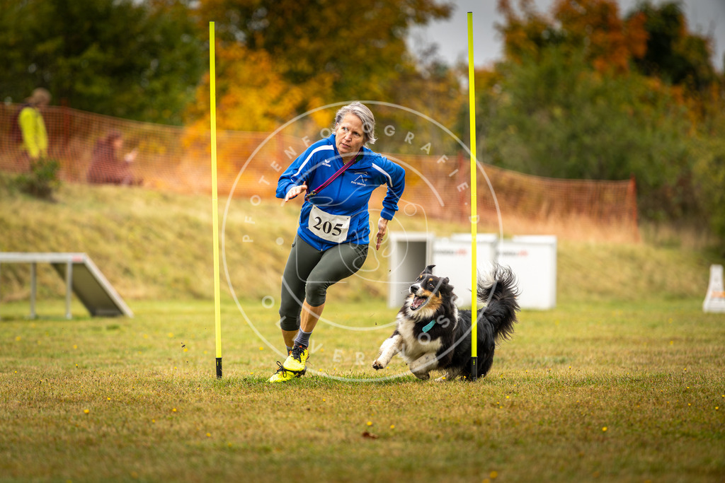 Pfotenfotografie_DV3A2107 | Hundefotografie, Tierfotograf, Pfotenfotografie, Fotoshooting Hund, Hunde Portrait, Hundesport, Hundeportraits, Heideshooting, Hunde, Sportfotograf, Hundefotograf, Turnierhundsport, THS,  - Realisiert mit Pictrs.com