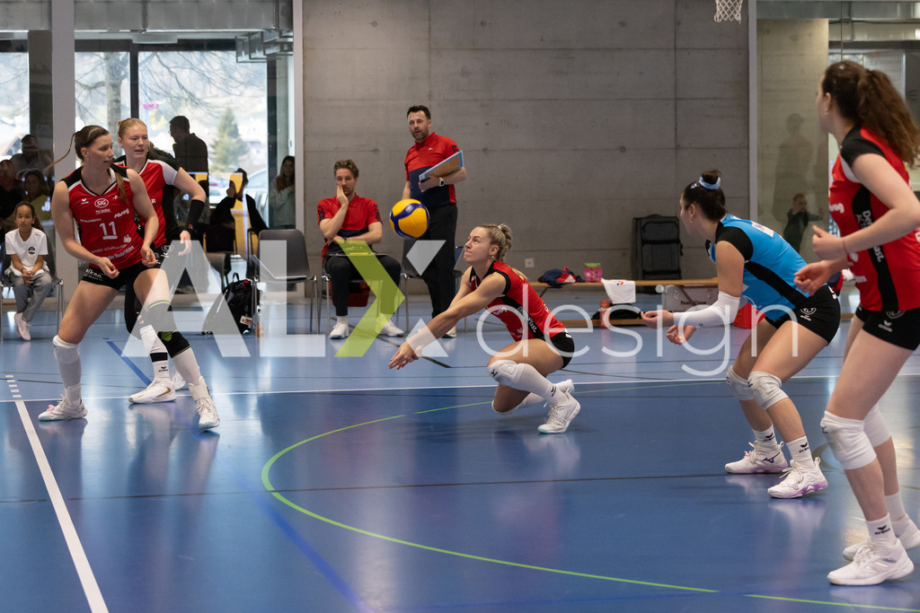 Volleyball I Frauen I Saison 2025-2026 I Volleyball NLA | Women I 1/4 Finals I  BIWI VFM - VC Kanti Schaffhausen I 01.03.2026 | 14 Josipa Marković (HR) (VC Kanti Schaffhausen) – Aussen - Realisiert mit Pictrs.com