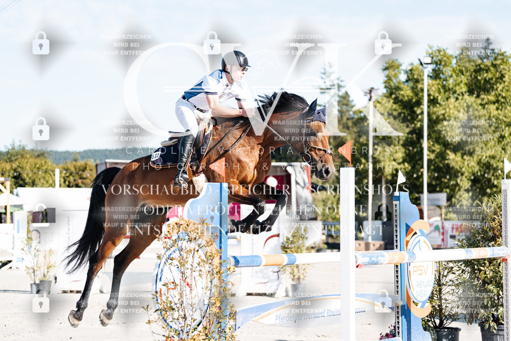 CK904160 | Turnierfotografie Pferdefotografie Trier Rheinland-Pfalz Pferdesport Reitsport Tierfotografie Sportfotografie Pferdevideo Pferdevideografie Equestrianvideography equestrianphotography  - Realisiert mit Pictrs.com