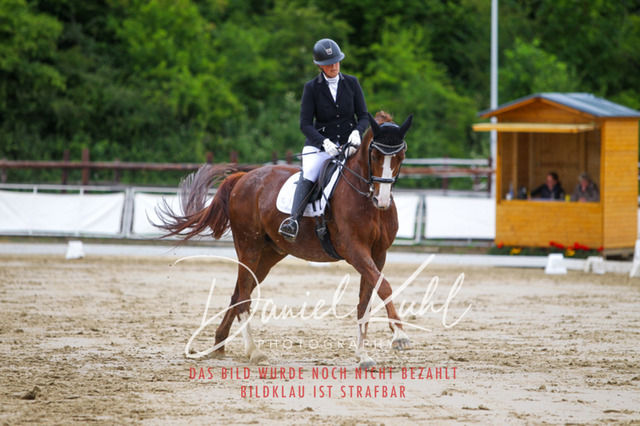 DKP47511 | Turniersportfotografie; Pferdefotografie; Dressurfotografie