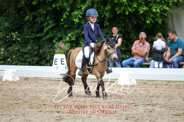 DKP47513 | Turnierfotos kaufen im Webshop von Daniel Kuhl Photography – entdecke professionelle Reitsportfotos aus Turnieren & Events. Hochwertige Turnierbilder online bestellen & sichern. Jetzt Fotos von Reitsportturnieren kaufen!