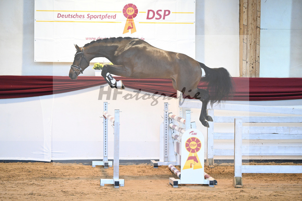 Kat-Nr. 60 v. Zinedream_Schreder_66221359 | hf-fotografie - Realisiert mit Pictrs.com