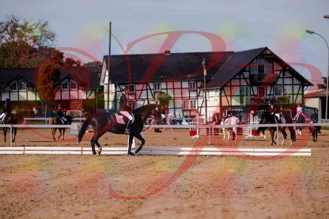 2026_10_03_Siefer-Hof_115453_Z81_94721614 | Professionelle Reitsport-, Turnier- und Eventfotografie von Robert Broda. Galerien mit ausgewählten und bearbeiteten Bildern direkt online ansehen und bestellen.