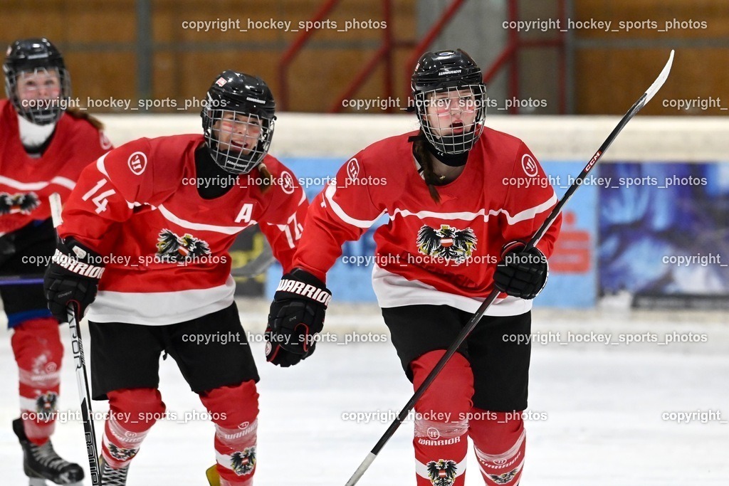 BST_3593 | hockey sports photos, Pressefotos, Sportfotos, hockey247, win 2day icehockeyleague, Handball Austria, Floorball Austria, ÖVV, Kärntner Eishockeyverband, KEHV, KFV, Kärntner Fussballverband, Österreichischer Volleyballverband, Alps Hockey League, ÖFB, 