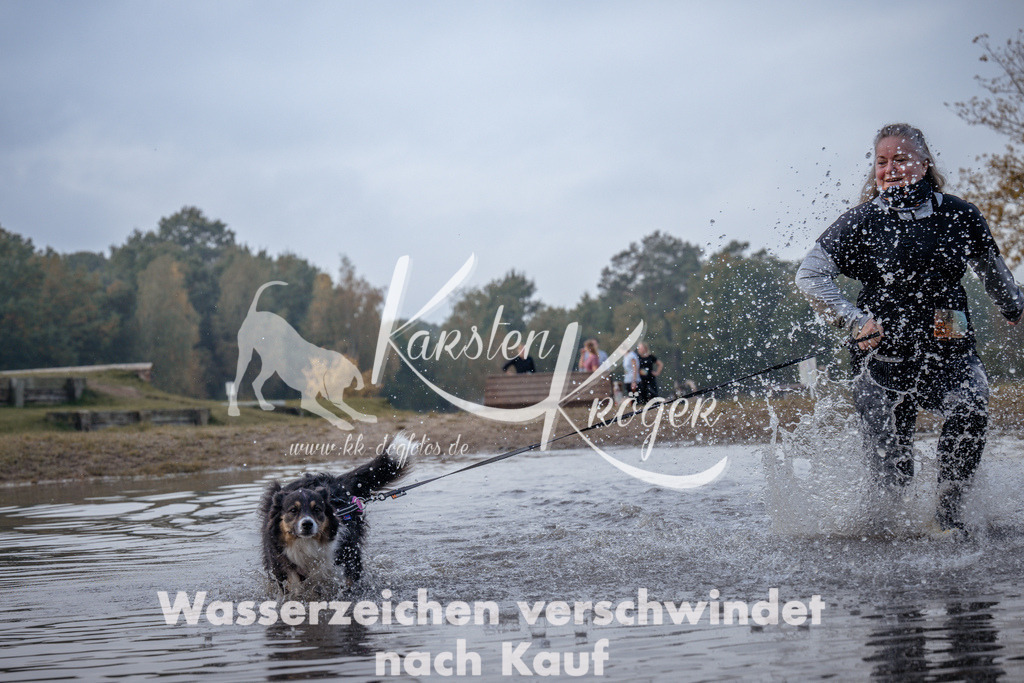 1145_ZZ96424 | kk-dogfotos