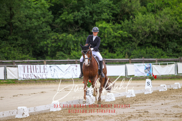 DKP47502 | Turniersportfotografie; Pferdefotografie; Dressurfotografie