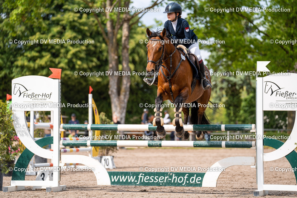 Eppelheim Tag 2-662 | dv-media-shop - Realisiert mit Pictrs.com