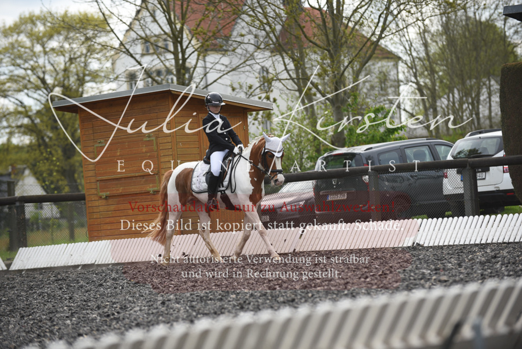 20230513_JK-Röhrsdorf-16-256 | Pferde- und Turnierfotografie in Westsachsen. Pferdeportraits, Auftragszeichnungen und intuitive Kunst.