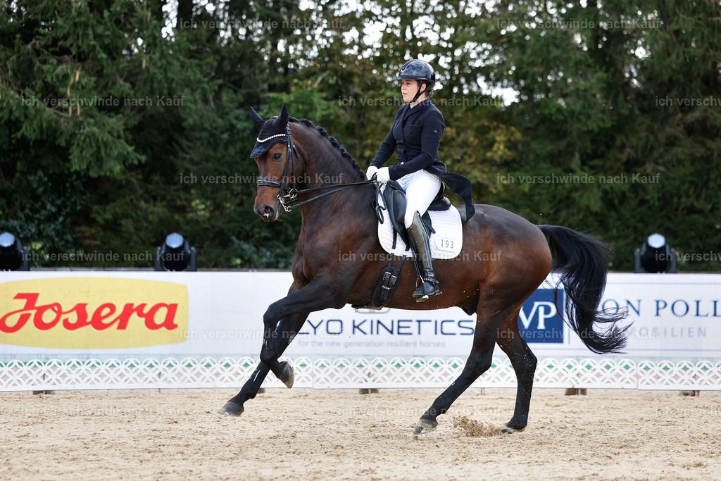 10-193-ST.GEORG SPECIAL -StoibPH-3238 | working equitationturnier fotograf videograf stoibphotography marixx film working equitation deutschland reitsport turnierfotografie eventfotografie equestrian events