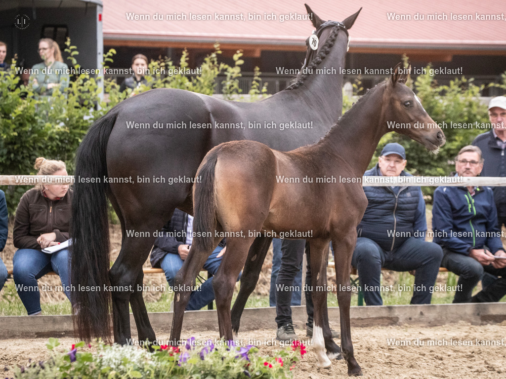 A10I7252 | photographylinaismer - Realisiert mit Pictrs.com