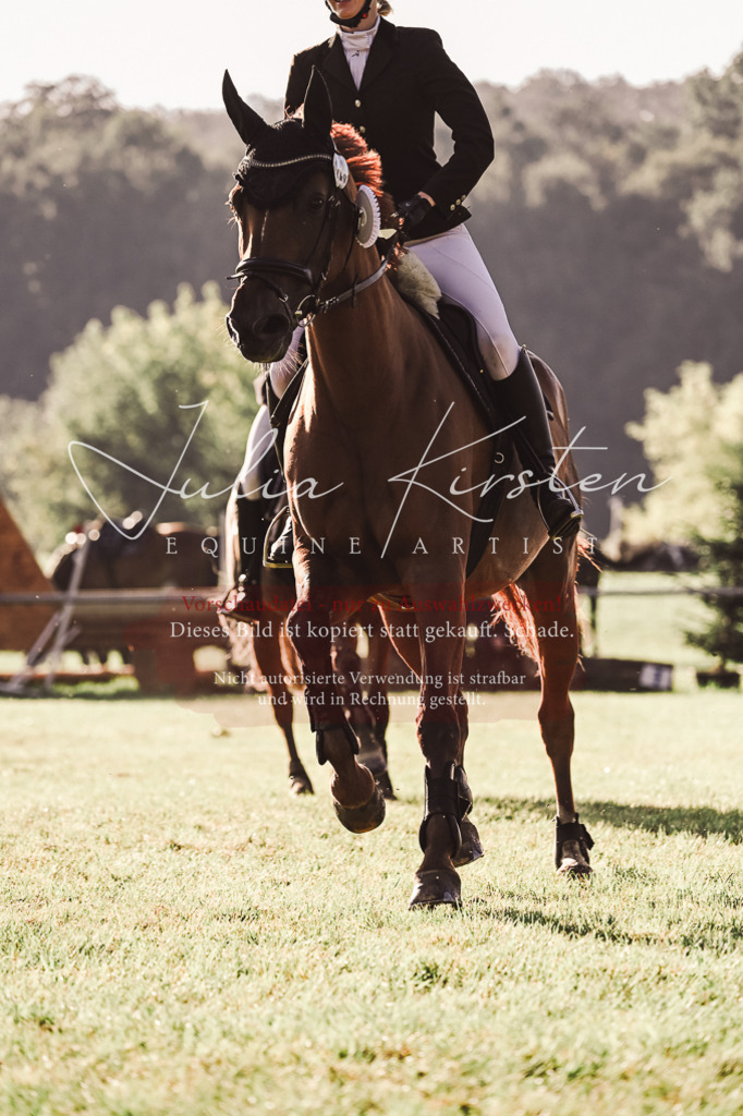 DSC_4578 | Pferde- und Turnierfotografie in Westsachsen. Pferdeportraits, Auftragszeichnungen und intuitive Kunst.