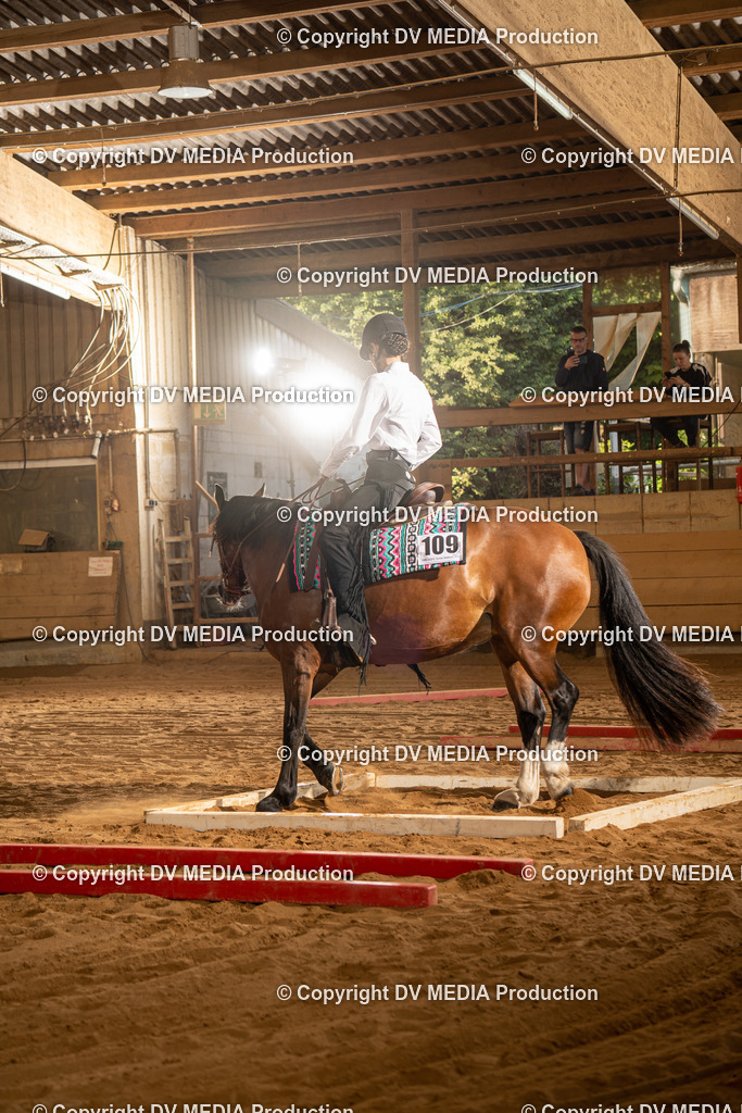 NID02607 | dv-media-shop - Realisiert mit Pictrs.com