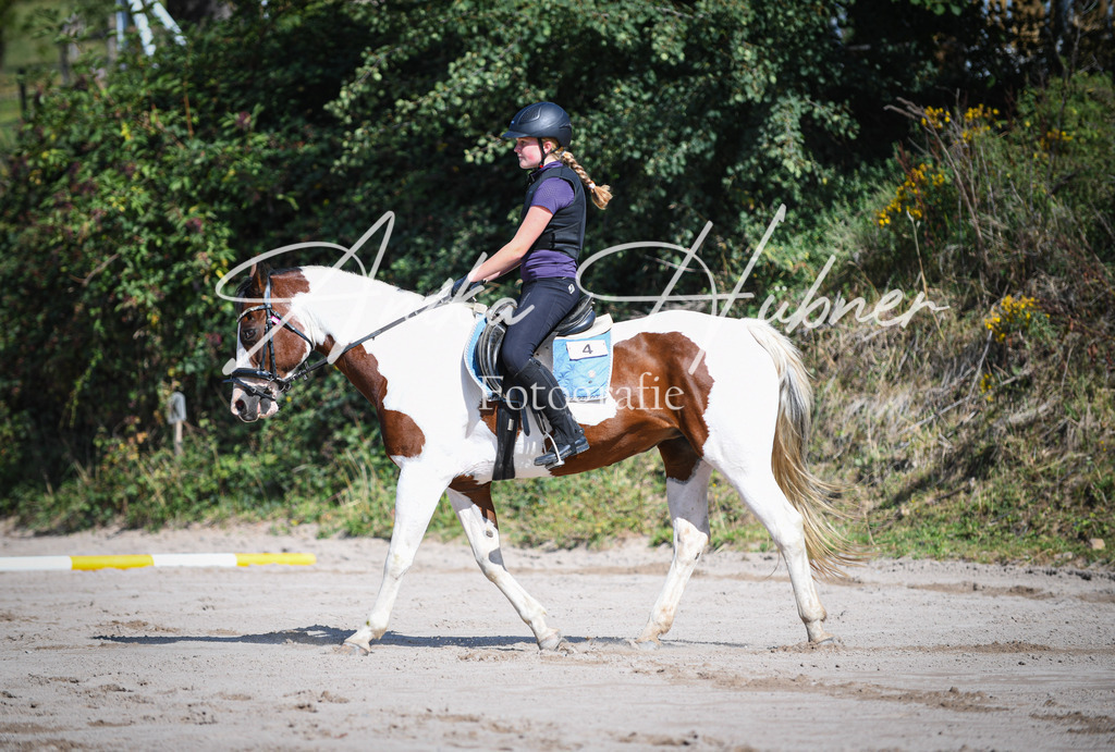 DSC_0135 | anikahuebner - Realisiert mit Pictrs.com