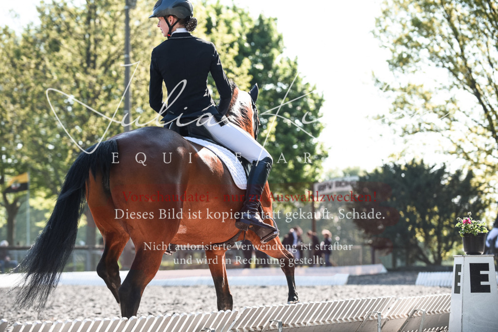 DSC_8670 | Pferde- und Turnierfotografie in Westsachsen. Pferdeportraits, Auftragszeichnungen und intuitive Kunst.
