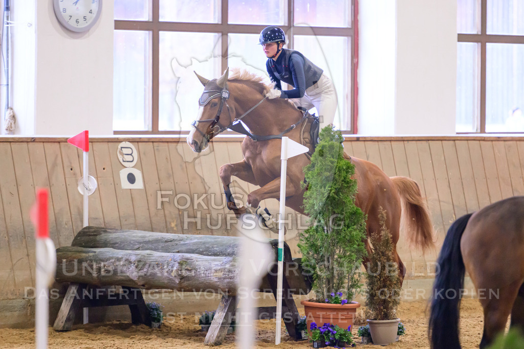 29032026-Schwaiganger-Prfg03-2-0118 | Fokus Hufschlag Fotografie - Realisiert mit Pictrs.com