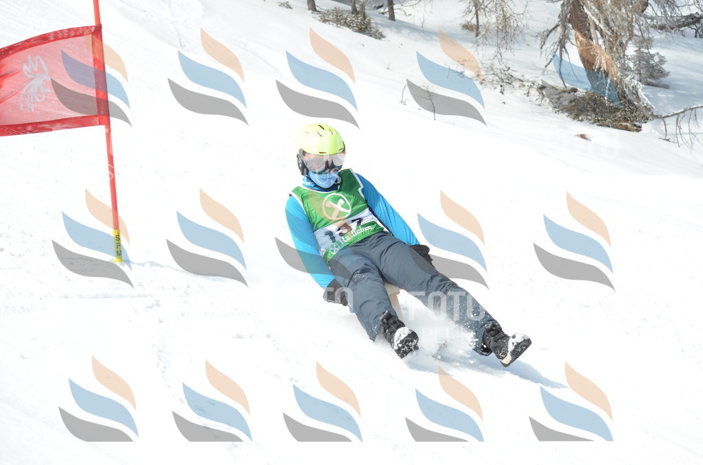 D9293 | holidayphoto