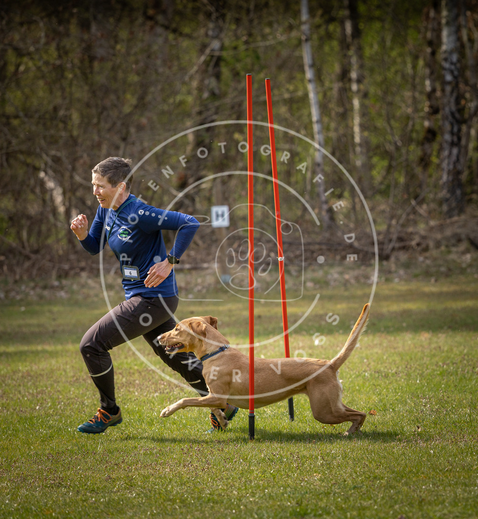 Pfotenfotografie_DV3A9738 | Hundefotografie, Tierfotograf, Pfotenfotografie, Fotoshooting Hund, Hunde Portrait, Hundesport, Hundeportraits, Heideshooting, Hunde, Sportfotograf, Hundefotograf, Turnierhundsport, THS,  - Realisiert mit Pictrs.com