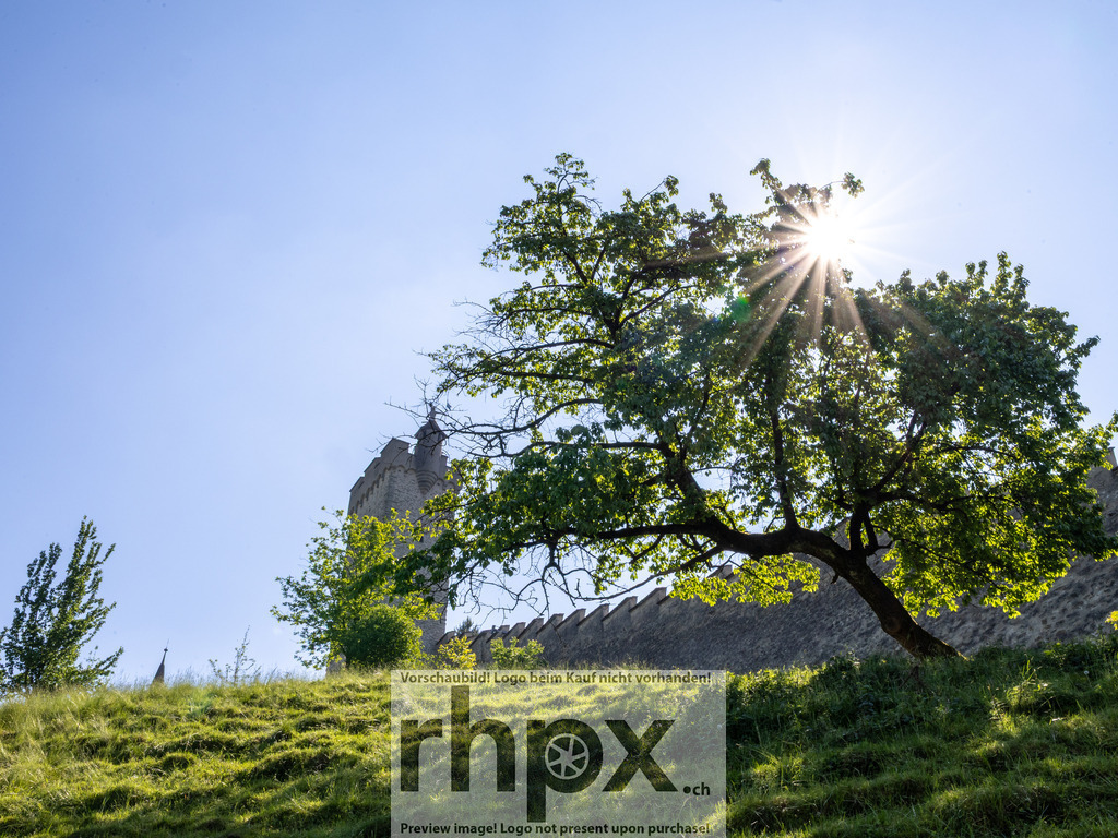 _MG_3645 | Stimmungsvolle Fotokunst aus Luzern. Erlebe den Pilatus, den See und die Stadt Luzern in exklusiven Aufnahmen in der Fotogalerie & Shop. - Realisiert mit Pictrs.com