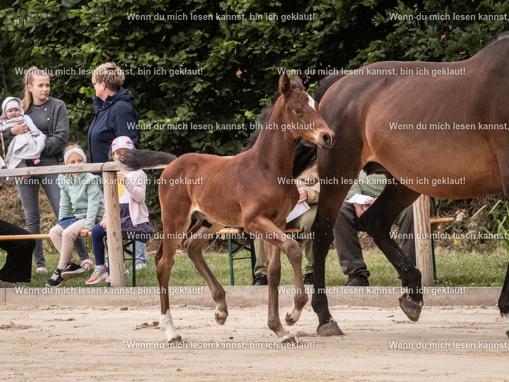 A10I9350 | photographylinaismer - Realisiert mit Pictrs.com