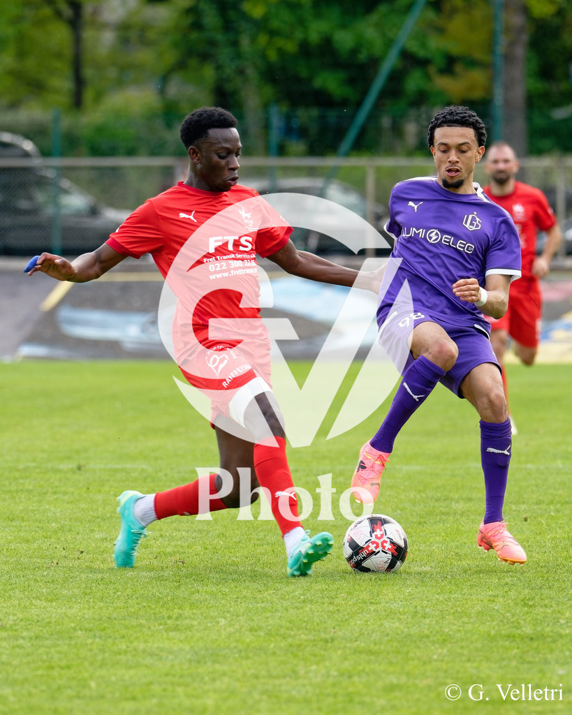 DSC_8141 | Velletri Photo