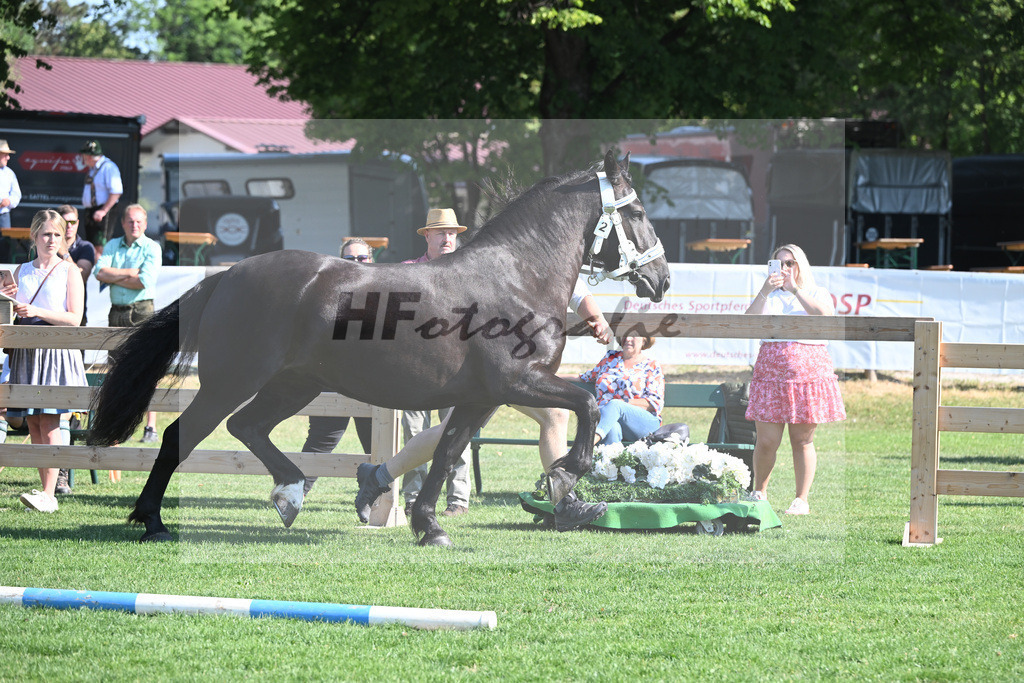 Kat-Nr. 2 Hera_Radel_20230022 | hf-fotografie - Realisiert mit Pictrs.com