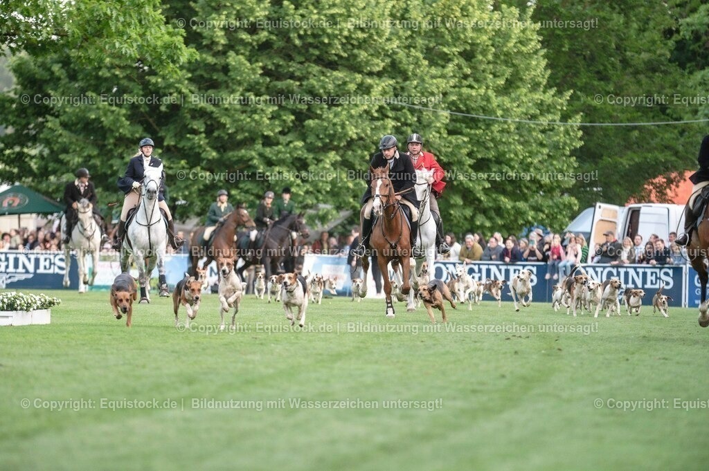20230526_Pferdenacht_0519 | equistock