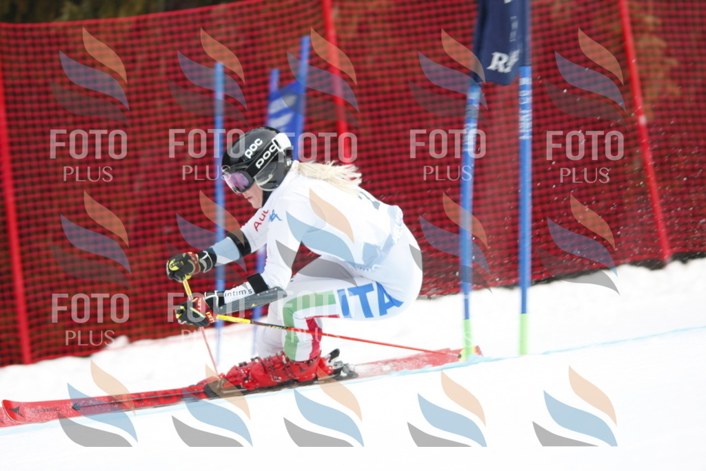 D4902 | holidayphoto