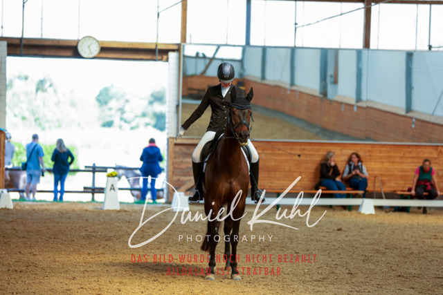 _62_4843 | Turniersportfotografie; Pferdefotografie; Dressurfotografie