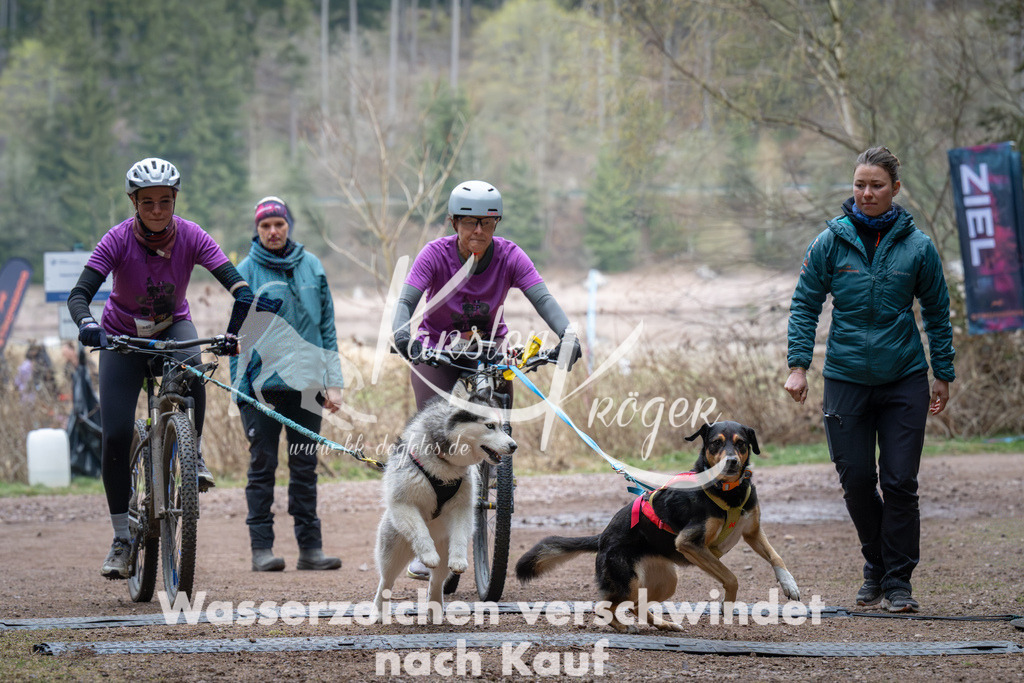 0941_ZZ91778 | kk-dogfotos
