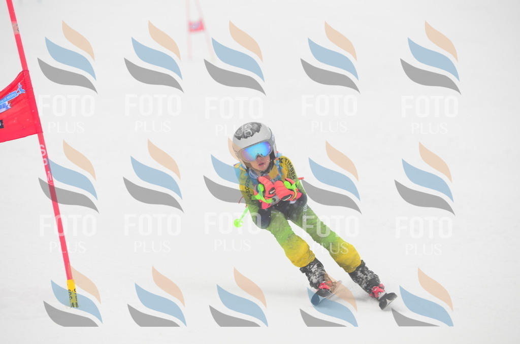 C0789 | holidayphoto