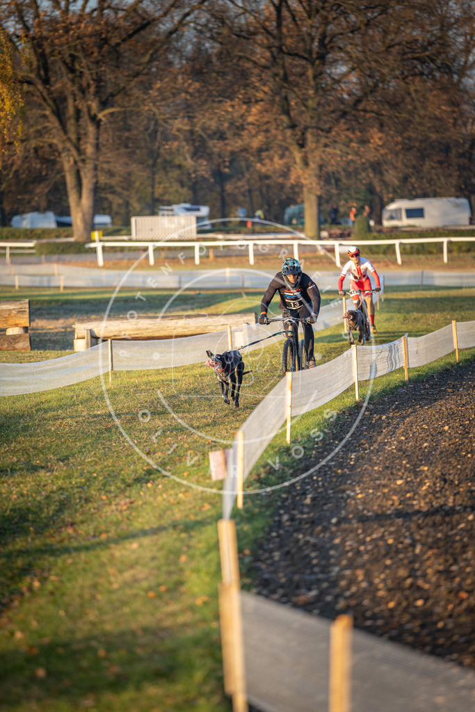 CaniXpix_DV3A9508 | Hundefotografie, Tierfotograf, Pfotenfotografie, Fotoshooting Hund, Hunde Portrait, Hundesport, Hundeportraits, Heideshooting, Hunde, Sportfotograf, Hundefotograf, Turnierhundsport, THS,  - Realisiert mit Pictrs.com