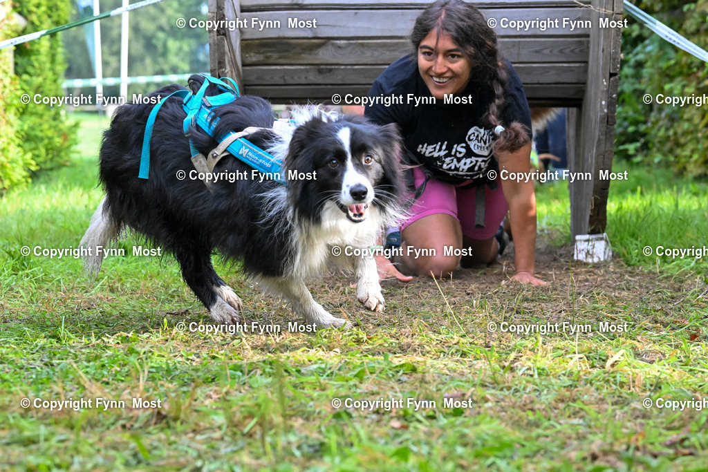 DSC_5915 | Hallo und herzlich Willkommen auf meiner Shop-Seite Fynn Most.

Ich wünsche Dir viel Spaß beim stöbern durch die Bilder, wenn Du Fragen hast oder Bilder vermisst, kannst du mir gerne eine Nachricht schreiben. - Realisiert mit Pictrs.com