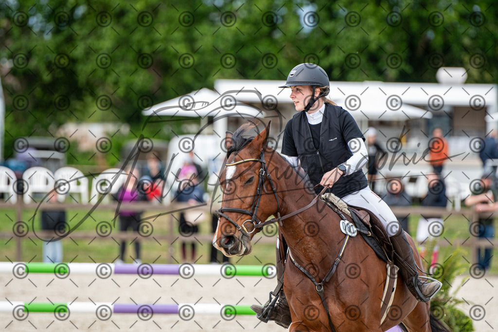 KPT_7021 | andre_photographic