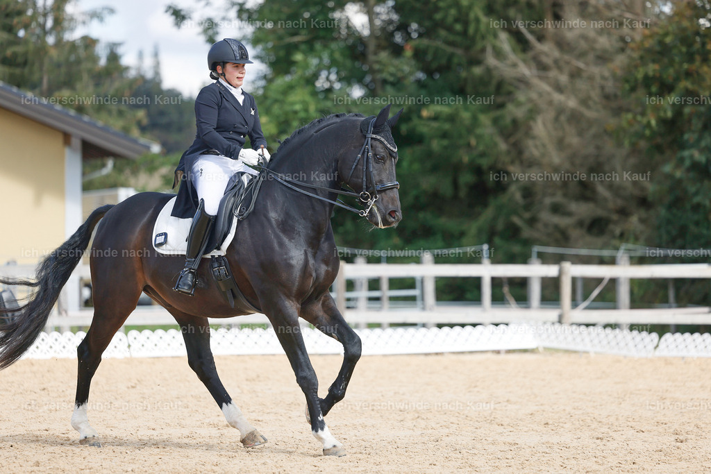 09_2-183-DRESSUR  S_  -StoibPH-5903 | working equitationturnier fotograf videograf stoibphotography marixx film working equitation deutschland reitsport turnierfotografie eventfotografie equestrian events
