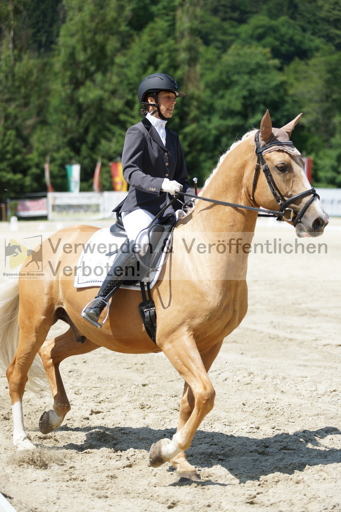 DSC01695 | equestrian-live-com